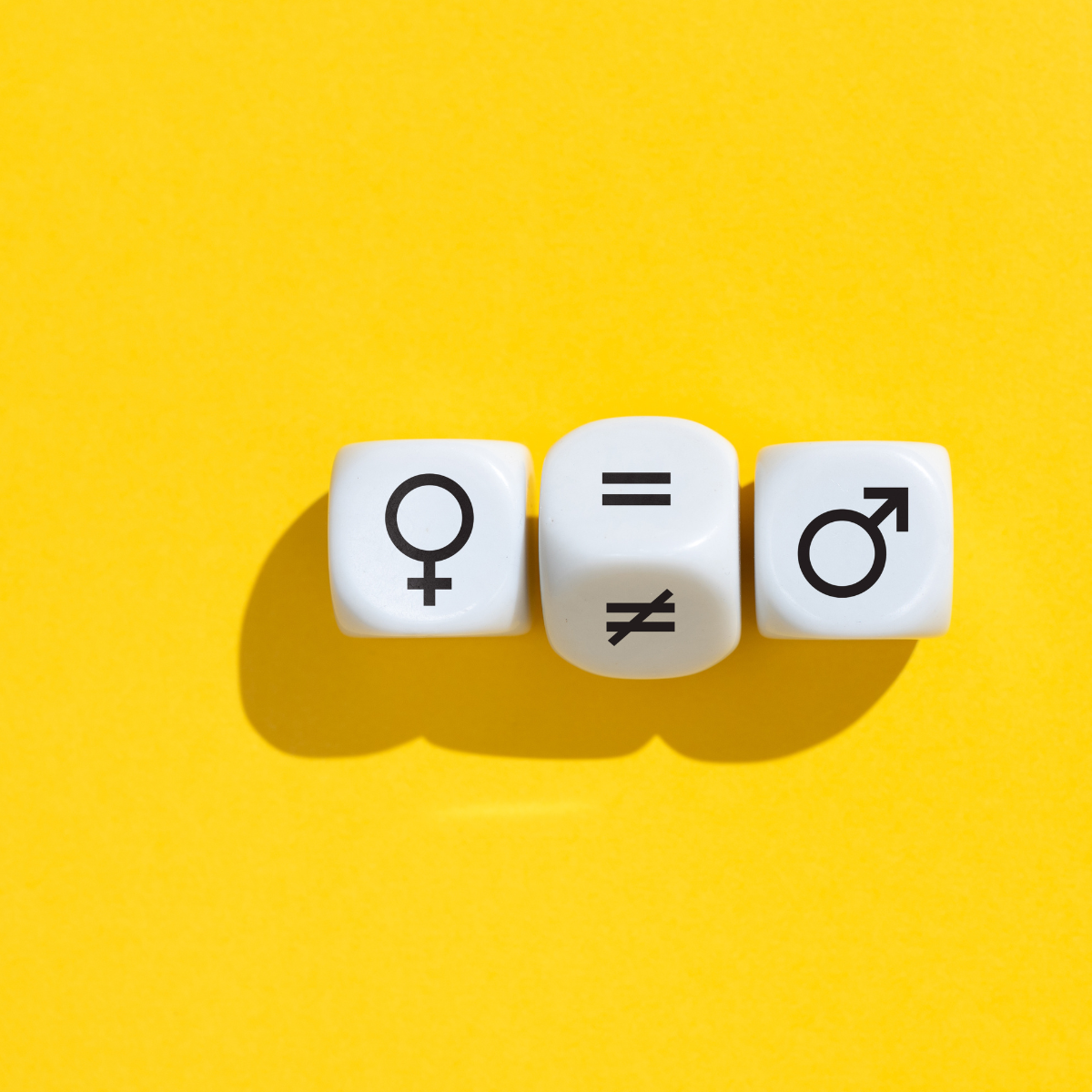 Visuel Paroles d'expert